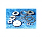 Circular Plate Series